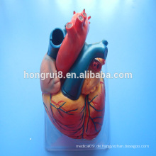 HEISSE VERKÄUFE menschliches erwachsenes Anatomie-Herz-medizinisches Modell, Plastikherz-Modell